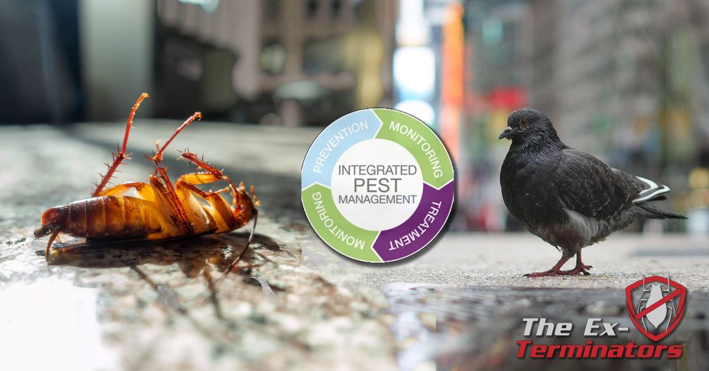 Integrated Pest Management